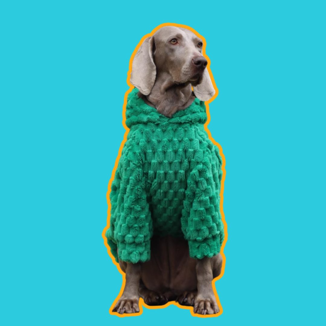 Emerald Green Dog Hoodie