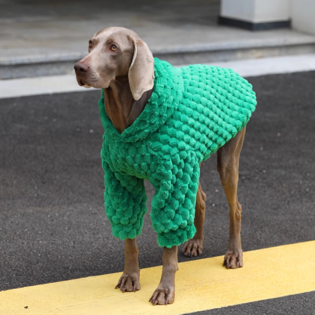Emerald Green Dog Hoodie