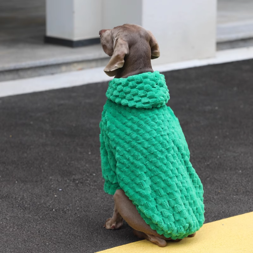 Emerald Green Dog Hoodie