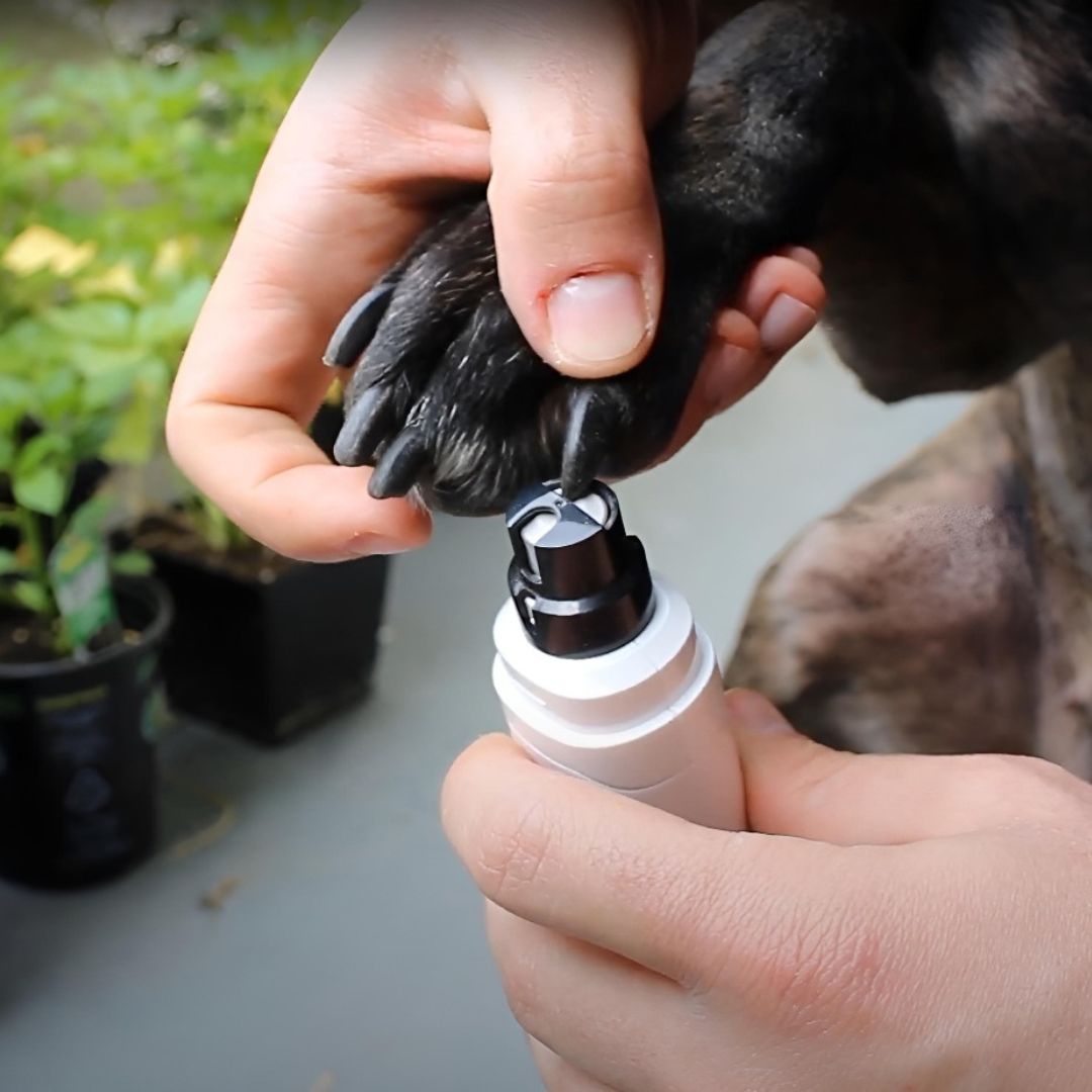 SilentGrind Pro™ Electric Pet Nail Grinder