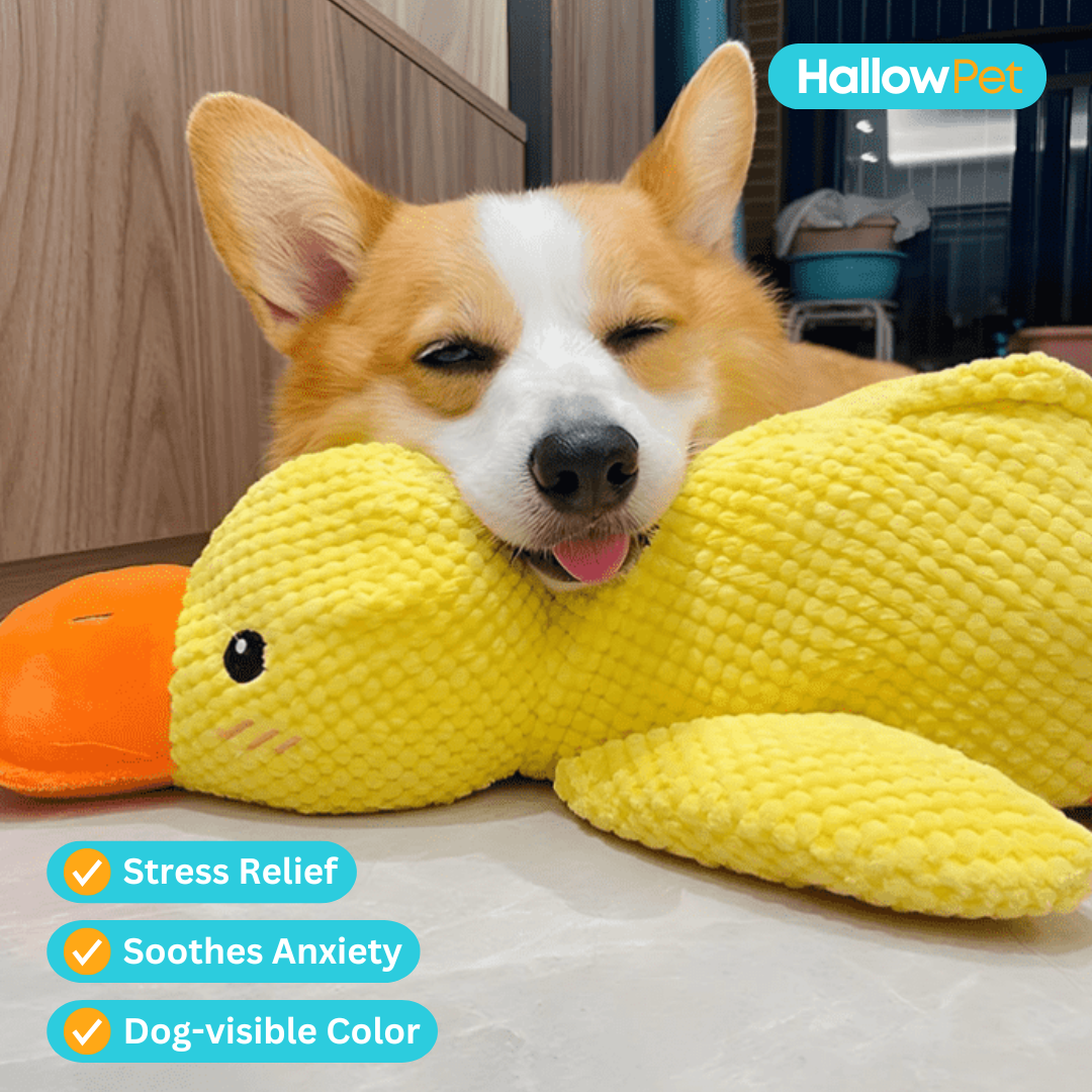 HallowPet™ Calming Duck Toy