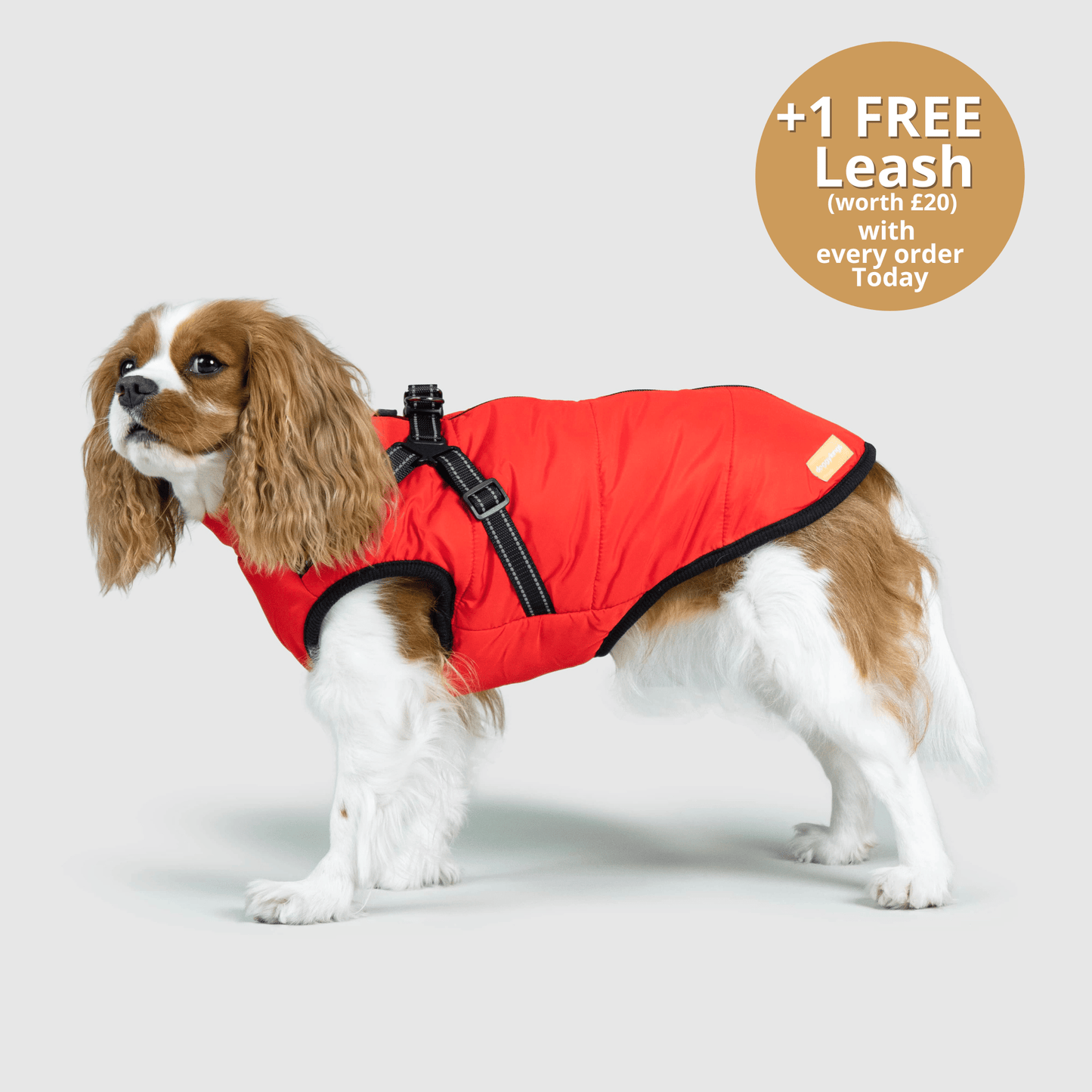 HallowPet™ 3 in 1 Jacket