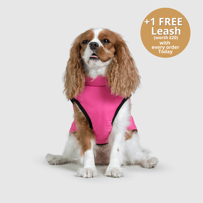 HallowPet™ 3 in 1 Jacket