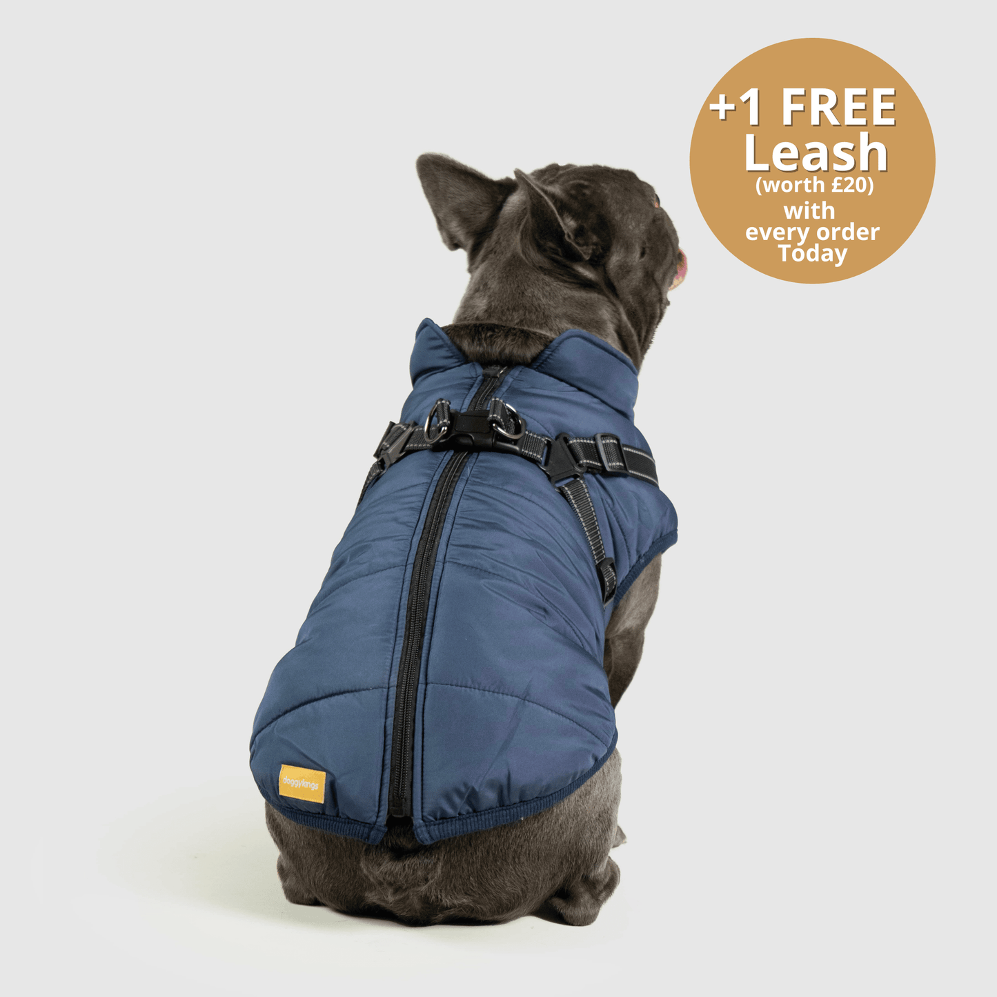 HallowPet™ 3 in 1 Jacket