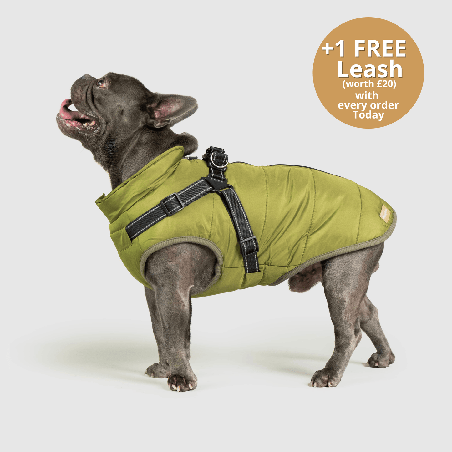 HallowPet™ 3 in 1 Jacket