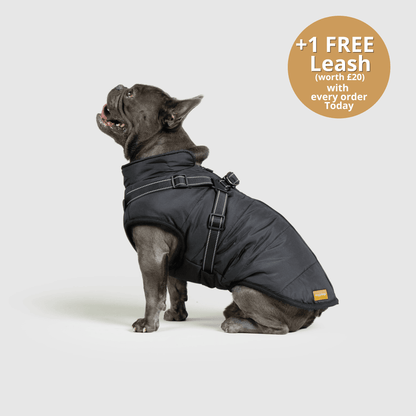 HallowPet™ 3 in 1 Jacket