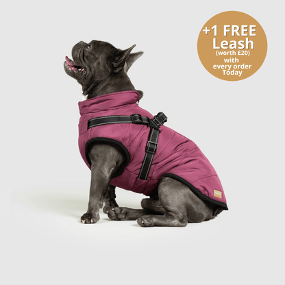 HallowPet™ 3 in 1 Jacket