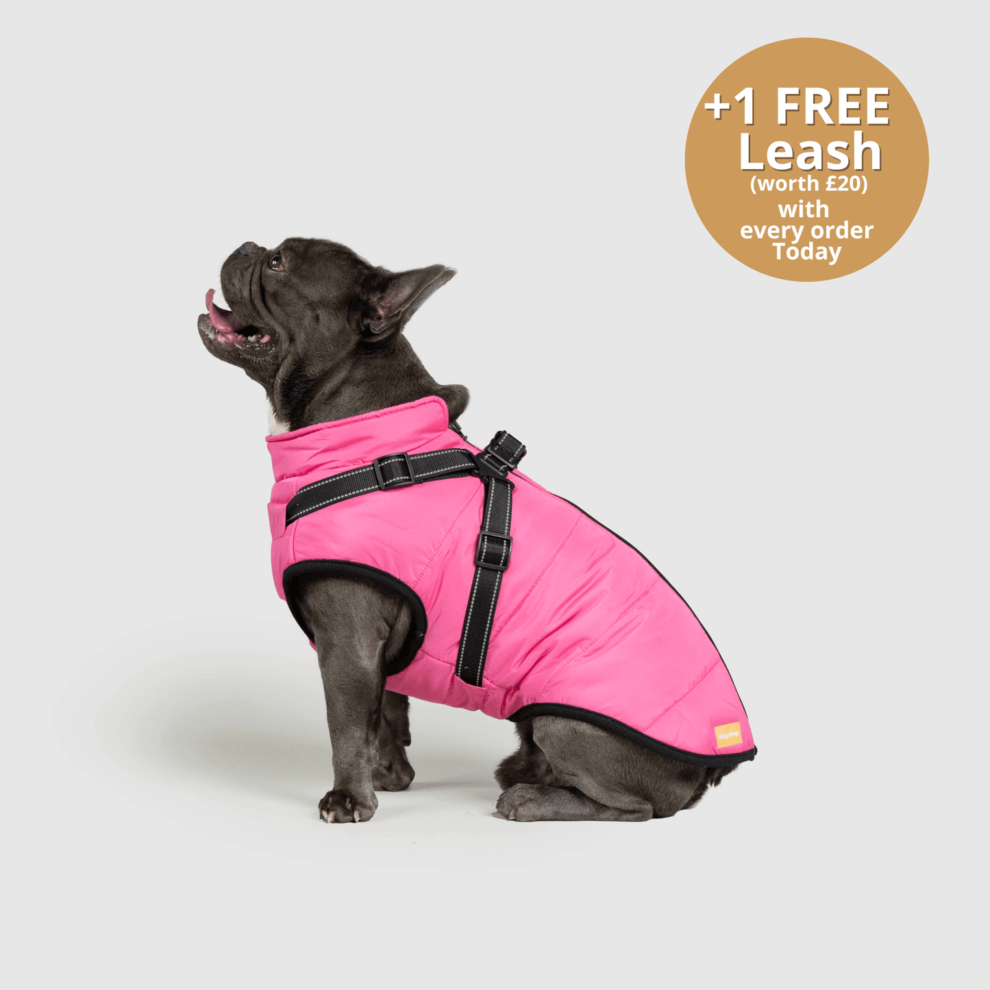 HallowPet™ 3 in 1 Jacket