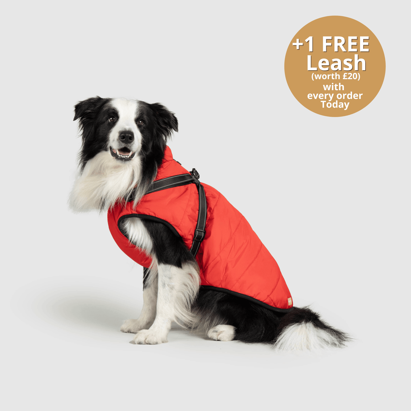 HallowPet™ 3 in 1 Jacket