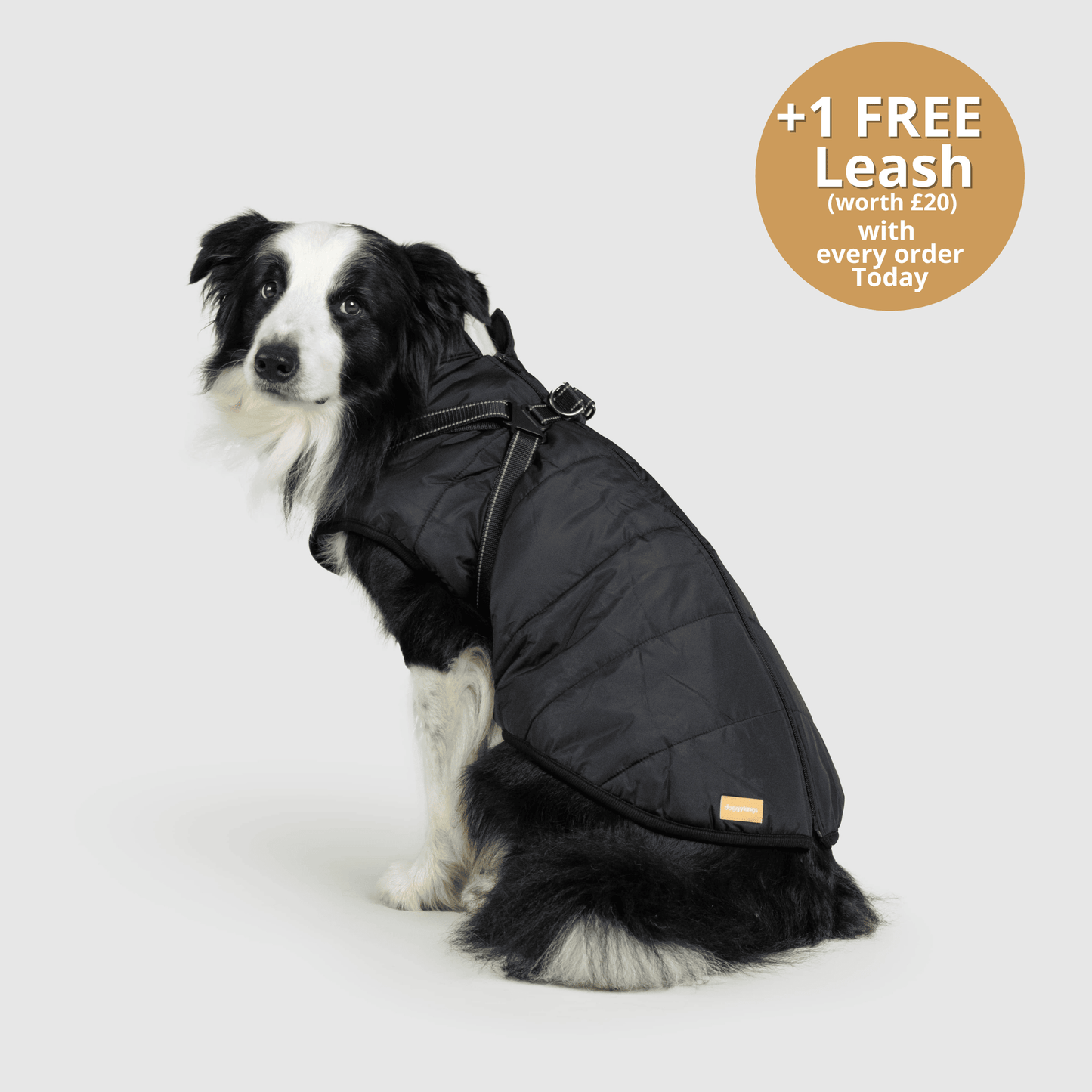 HallowPet™ 3 in 1 Jacket