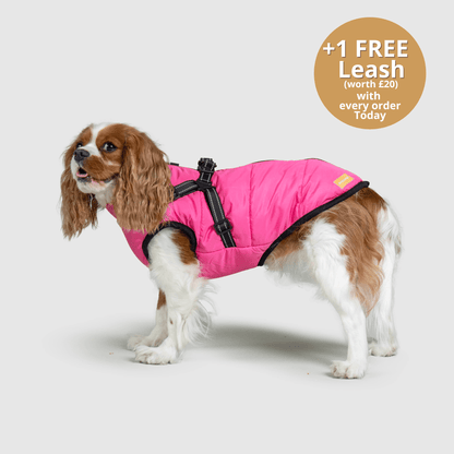 HallowPet™ 3 in 1 Jacket