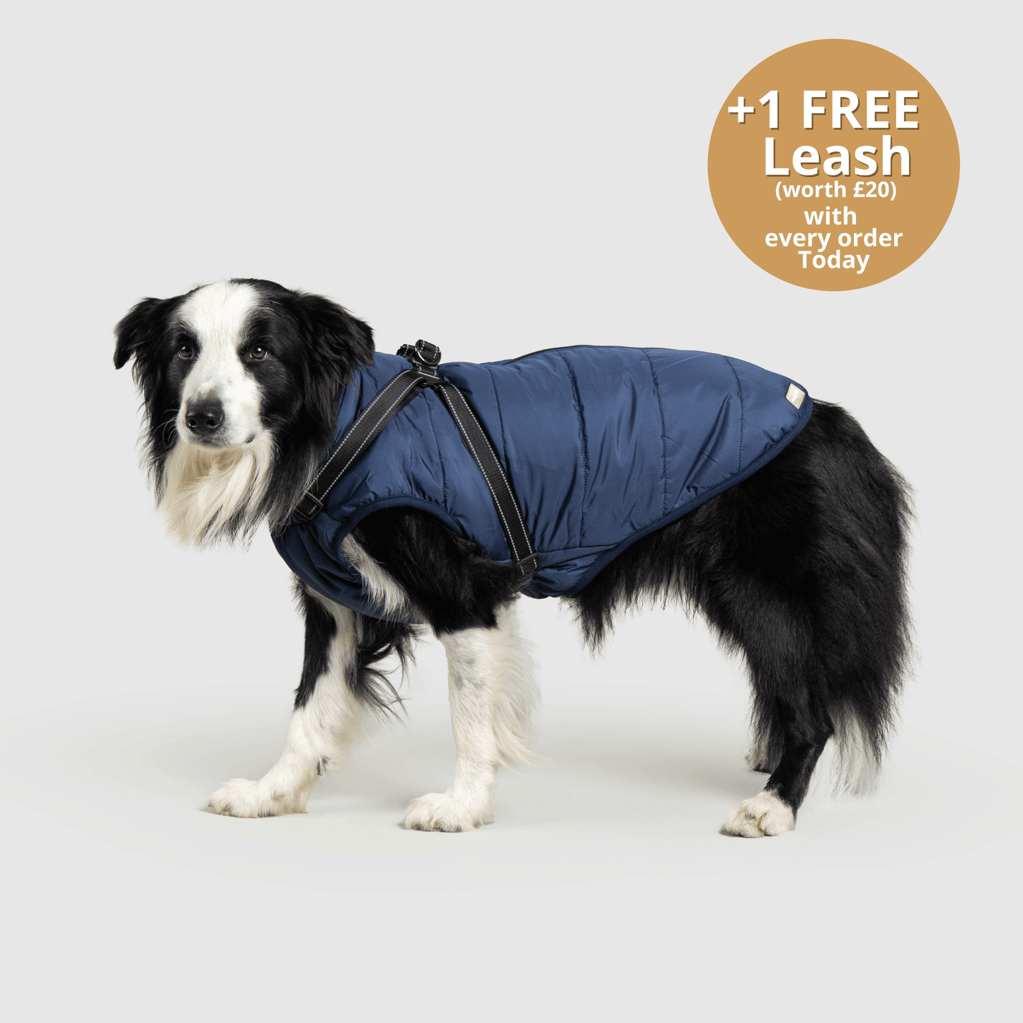 HallowPet™ 3 in 1 Jacket