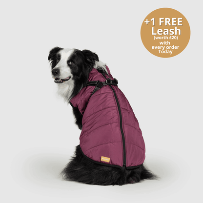 HallowPet™ 3 in 1 Jacket