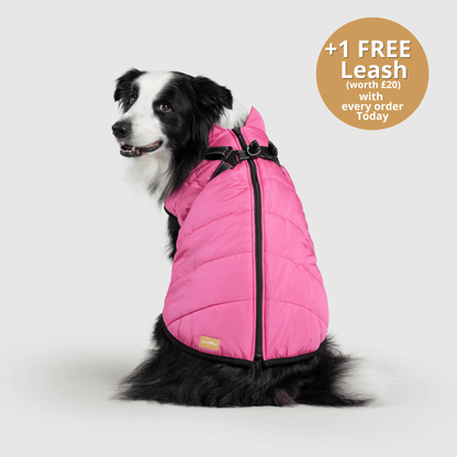 HallowPet™ 3 in 1 Jacket