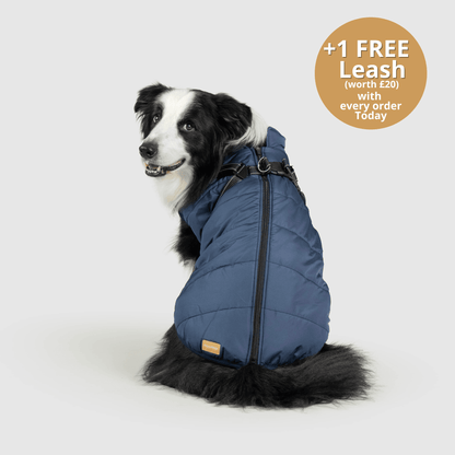 HallowPet™ 3 in 1 Jacket