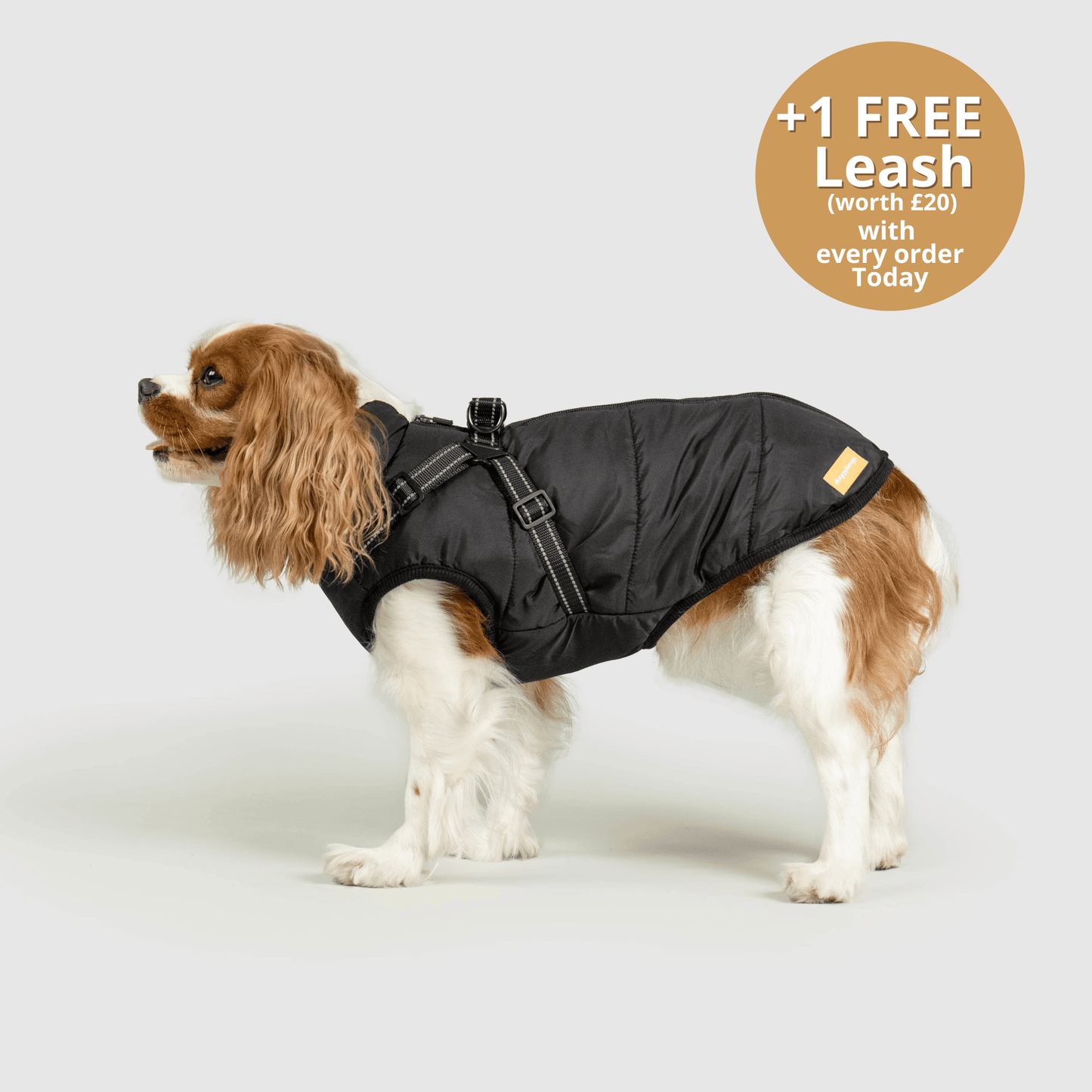 HallowPet™ 3 in 1 Jacket