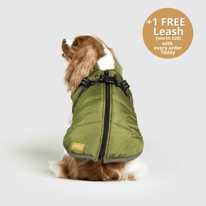 HallowPet™ 3 in 1 Jacket