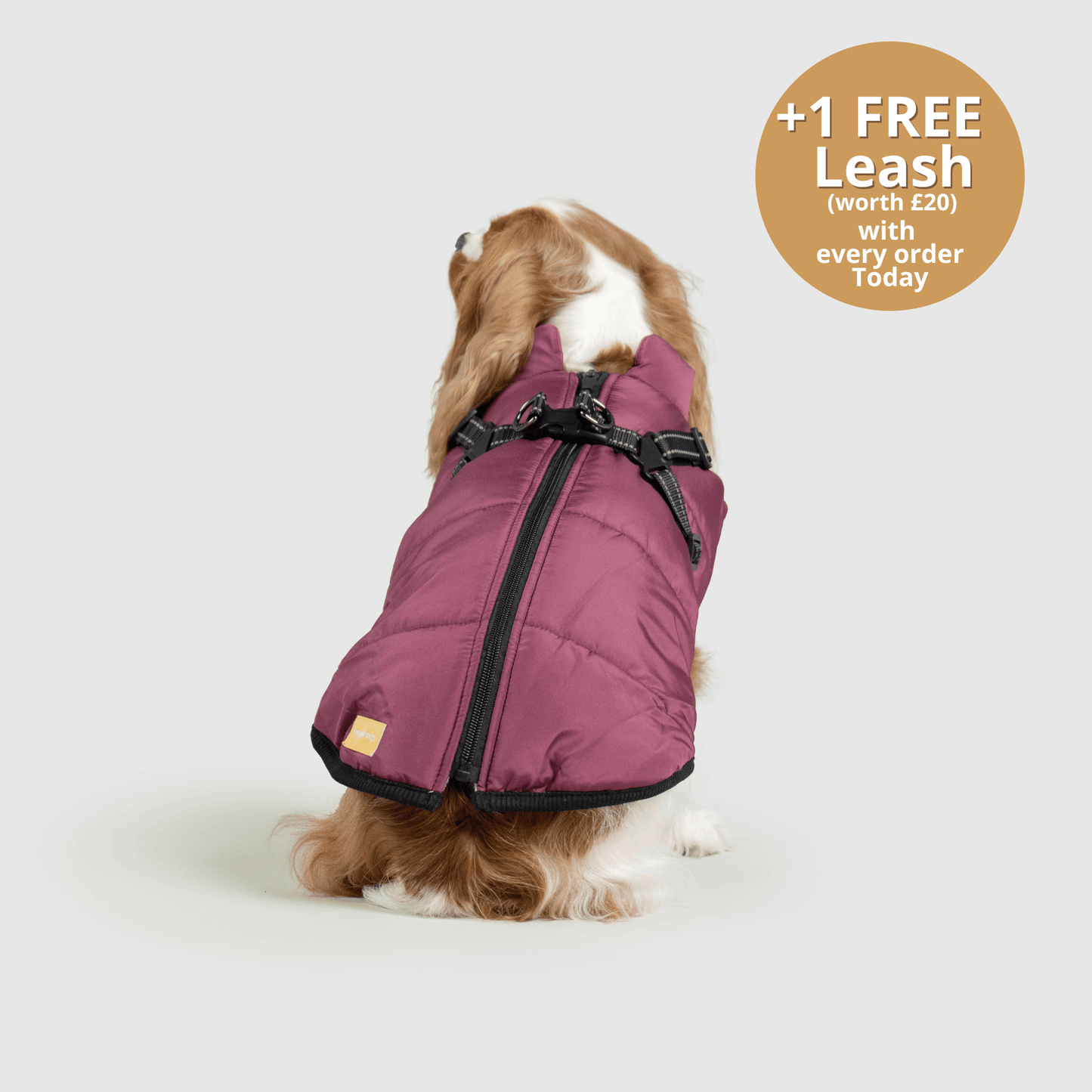 HallowPet™ 3 in 1 Jacket