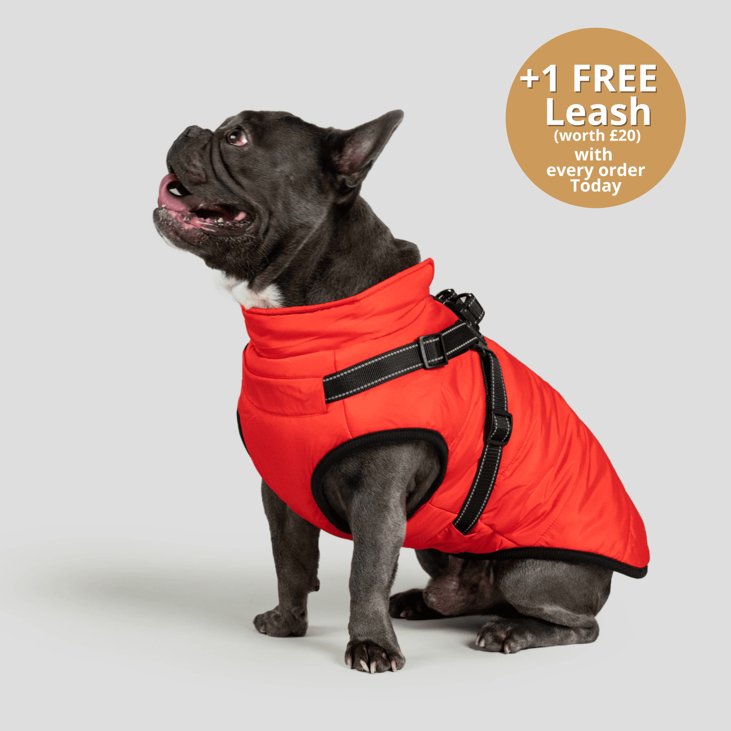 HallowPet™ 3 in 1 Jacket