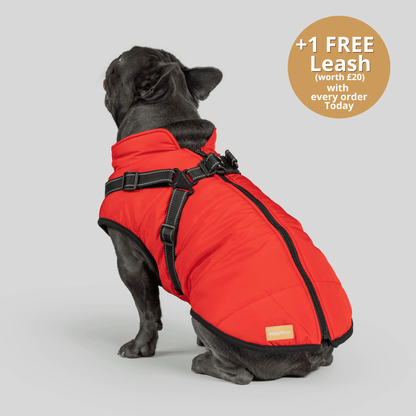 HallowPet™ 3 in 1 Jacket