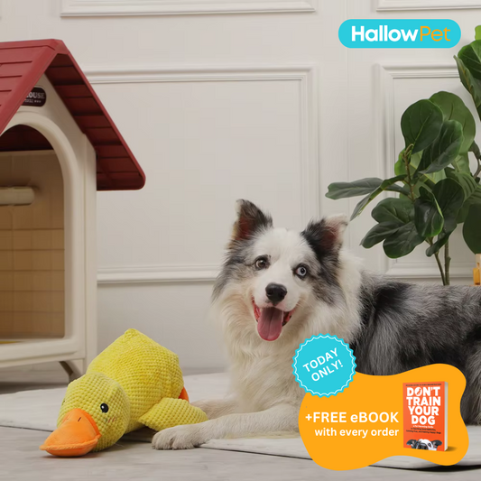 HallowPet™ Calming Duck Toy