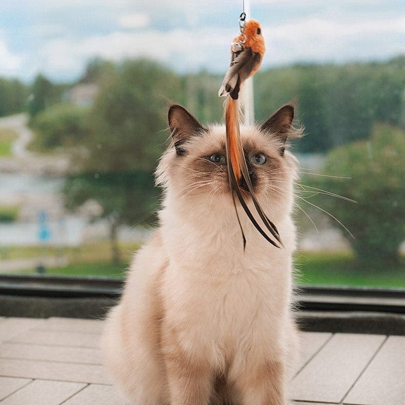 HallowPet™ Interactive Bird Simulation Cat Toy Set